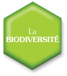 Symbiosphere, Présentation Biodiversité