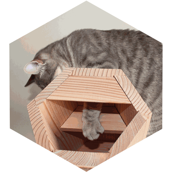 Descriptif Avibox symbiosphere (Balcon anti-chat)