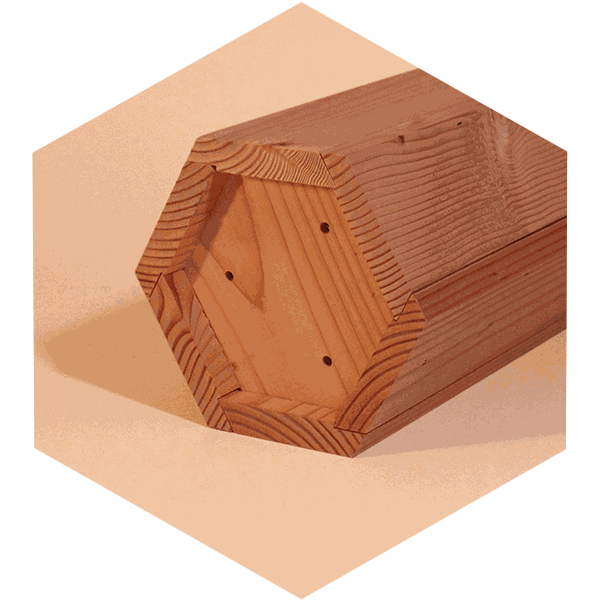 Descriptif Avibox symbiosphere(fond aéré)