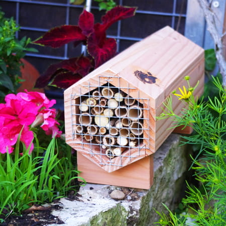 Abribuzz - Gîte à abeilles solitaires - SYMBIOSPHERE