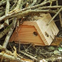 Belettebox - Nichoir à belettes - Symbiosphère