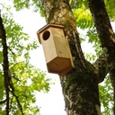 Chouettebox - Nichoir à chouette hulotte - Symbiosphere