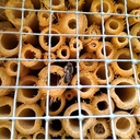 Abribuzz - Nichoir abeilles solitaires - SYMBIOSPHERE