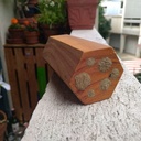 MiniBee - Gîte à abeilles solitaires - SYMBIOSPHERE
