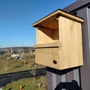 Falcobox (taille1) - Nichoir à faucon crécerelles -SYMBIOSPHERE