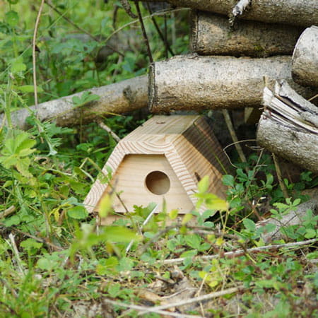 HermineBox - Refuge à hermines - SYMBIOSPHERE