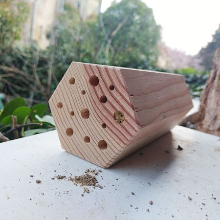 MediumBee - Gîte à abeilles solitaires & Cie ©Symbiosphere