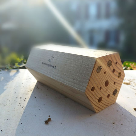 MediumBee - Gîte à abeilles solitaires & Cie ©Symbiosphere