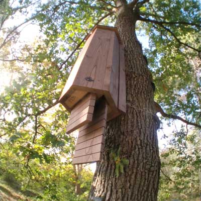 Hibernachiro - Refuge hivernal pour chauve-souris