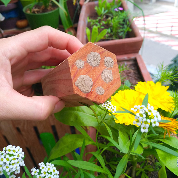 MiniBee - Gîte à abeilles solitaires & Cie