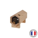Carabox - Gîte à carabes & Cie