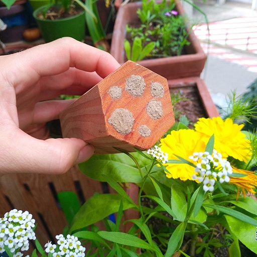 [G007-1] MiniBee - Gîte à abeilles solitaires & Cie