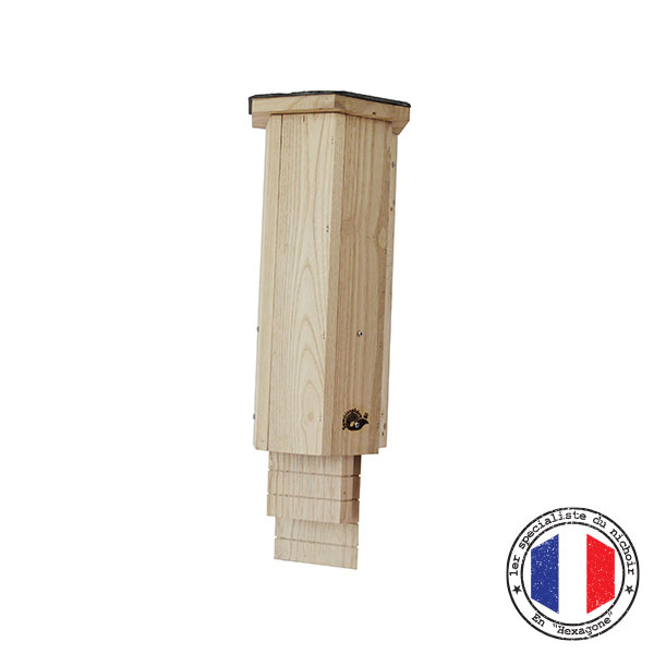 Batte De Baseball En Bois Marucci – 34/31 – Adulte – Occasion