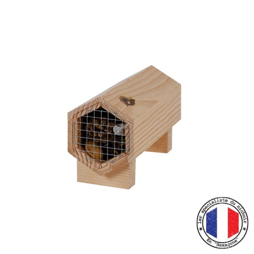 [G005] Carabox - Gîte à carabes & Cie