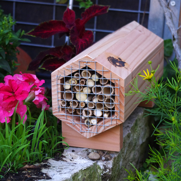 Abribuzz - Gîte à abeilles solitaires - SYMBIOSPHERE