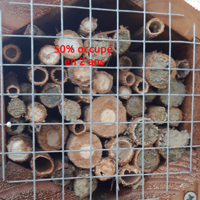 Abribuzz - Nichoir abeilles solitaires - SYMBIOSPHERE